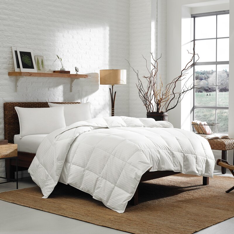 Eddie Bauer Lightweight Summer Down Comforter & Reviews Wayfair